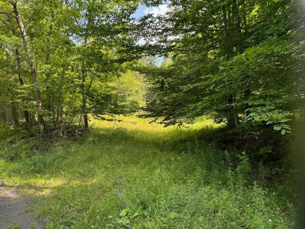 Property Photo:  130 William Law Road  NY 13865 