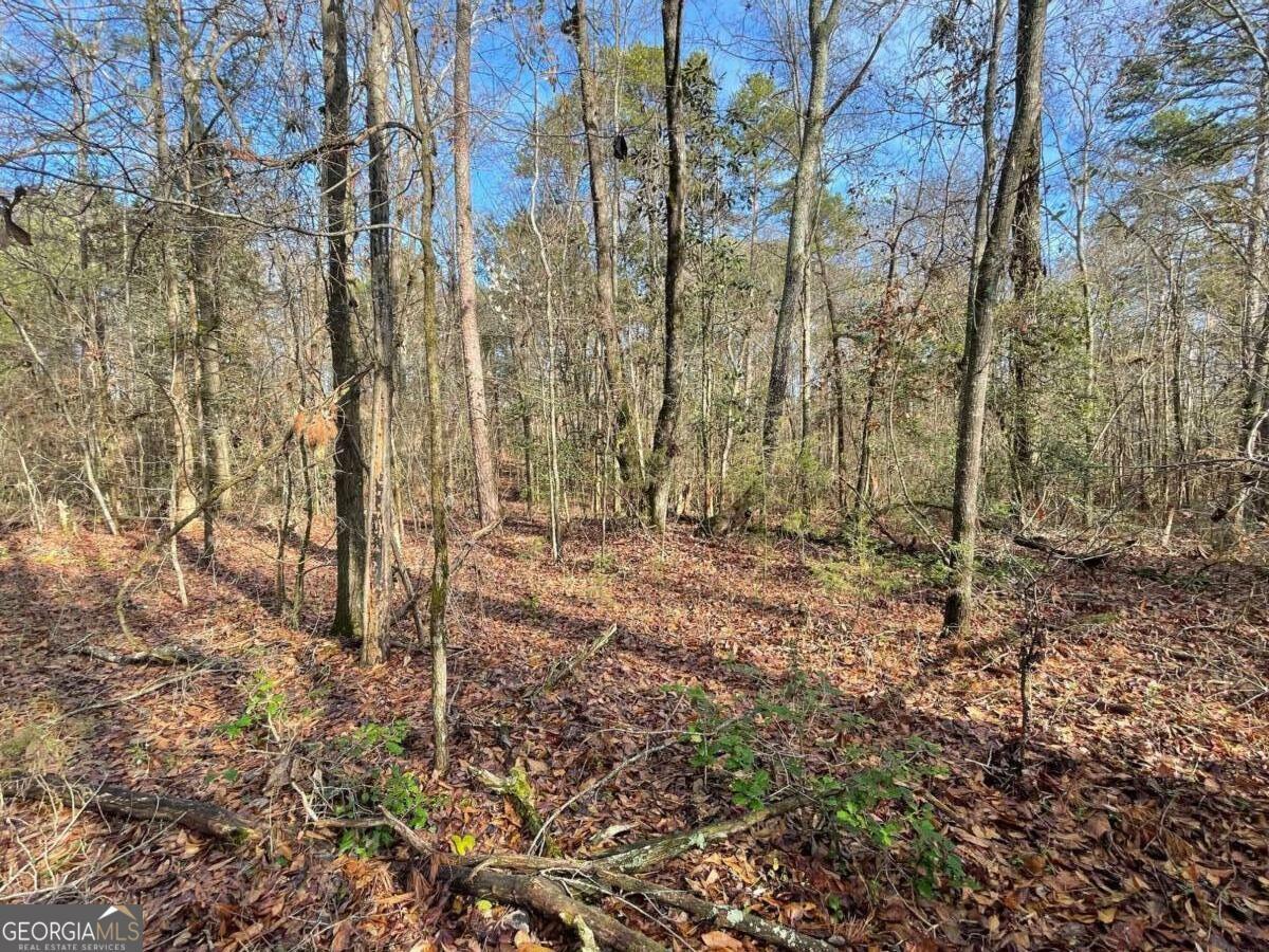 Property Photo:  Lot 16 Anderson Highway  GA 30635 