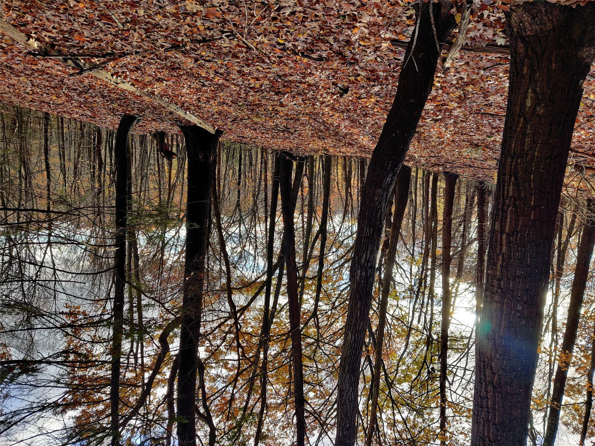 Property Photo: 150 Soper Road NY
