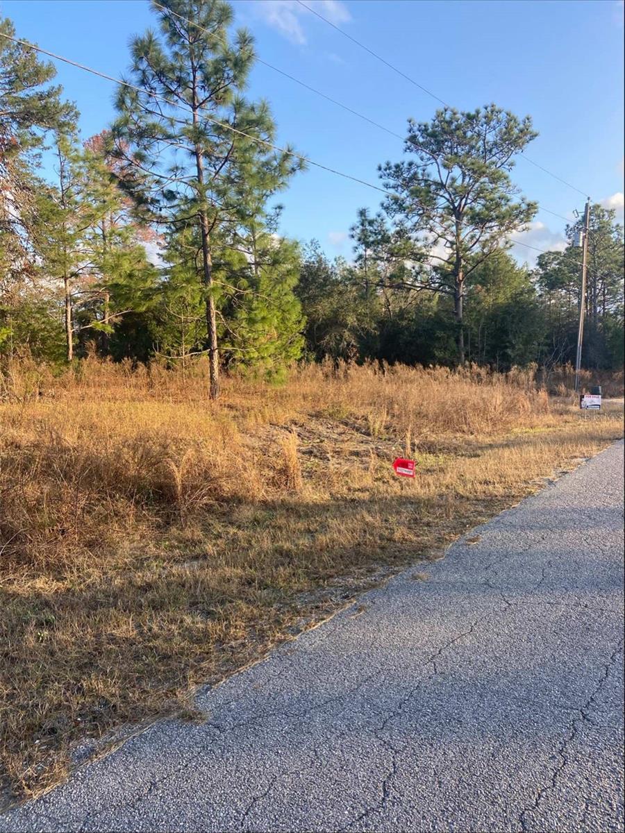 Property Photo: Tbd SW Gardenia Court FL 34431