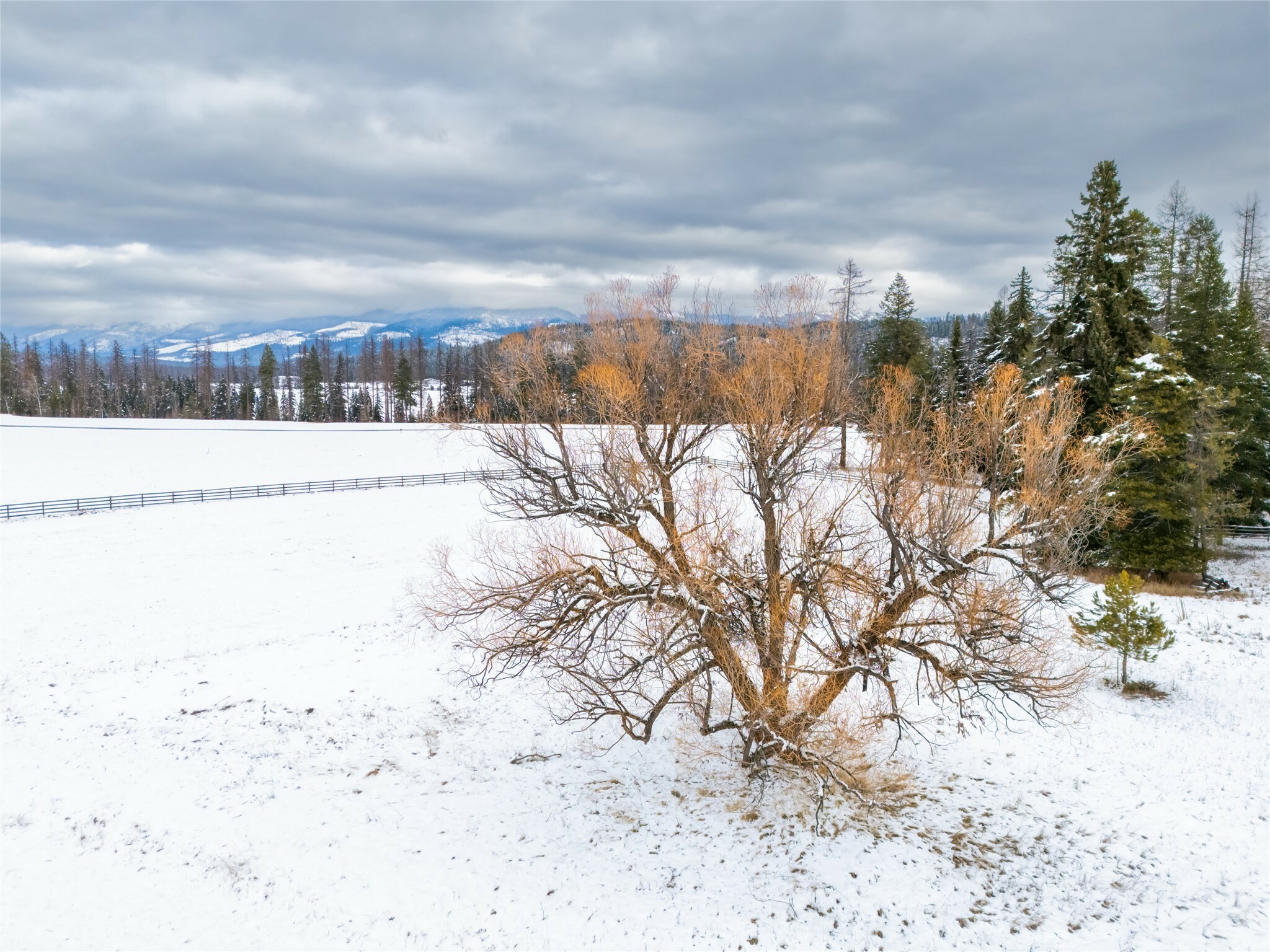 Property Photo:  7485 Farm To Market Road  MT 59937 