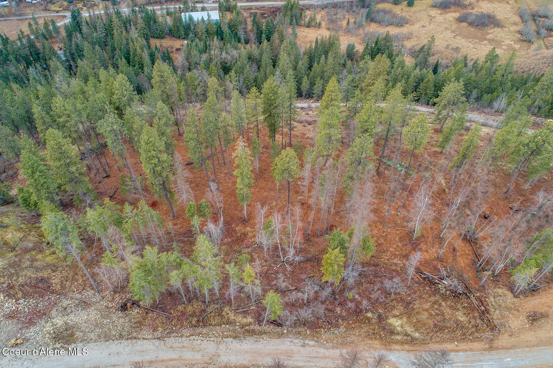 Property Photo:  Lt 3 Blk 1 Red Hawk Landing  ID 83860 