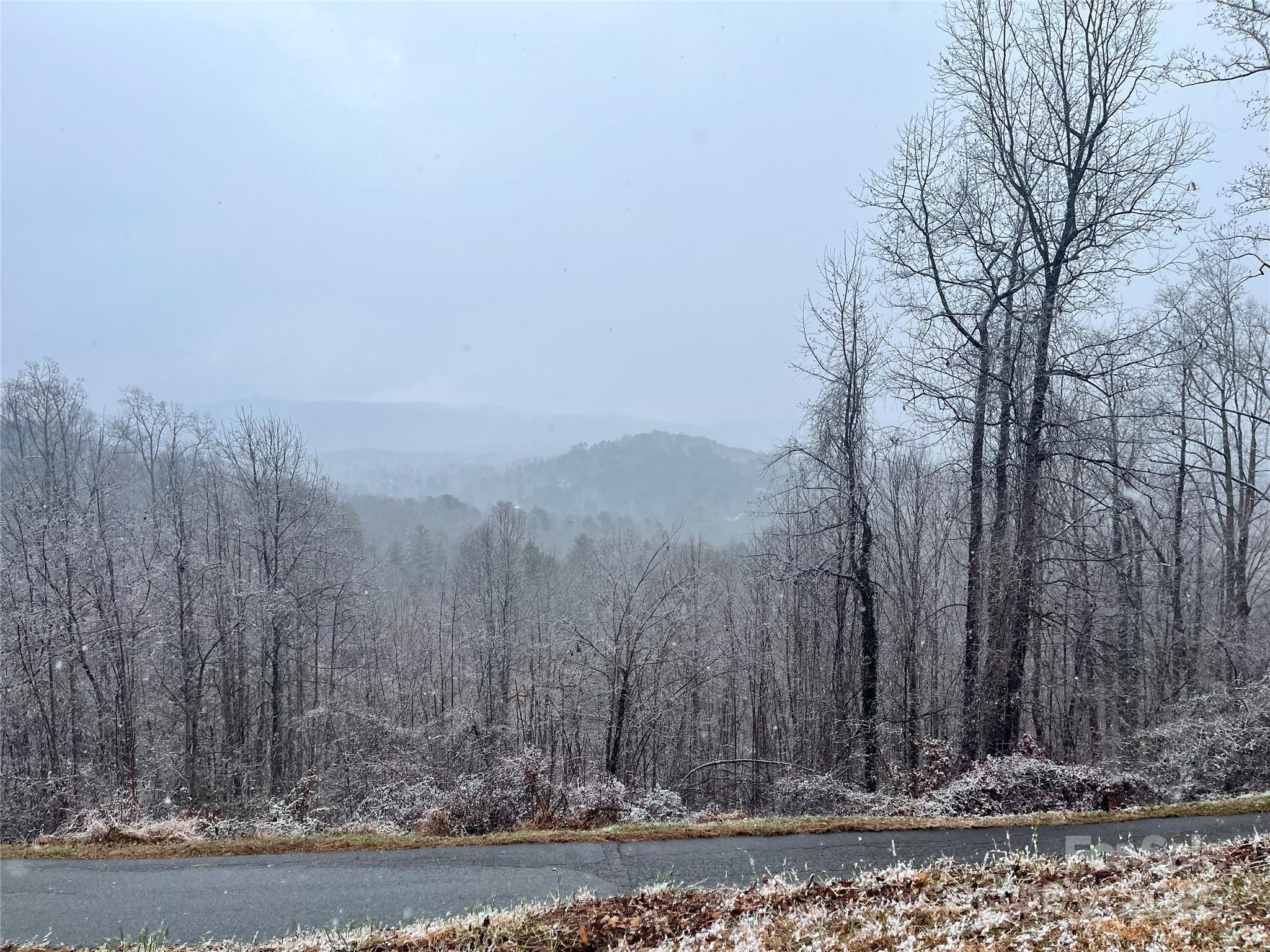 Property Photo: 49 Ben Lippen School Road 2/Ph1a NC 28806