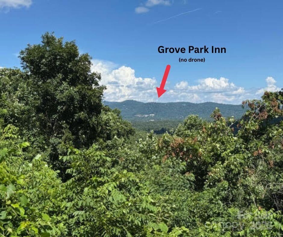 Property Photo:  49 Ben Lippen School Road 2/Ph1a  NC 28806