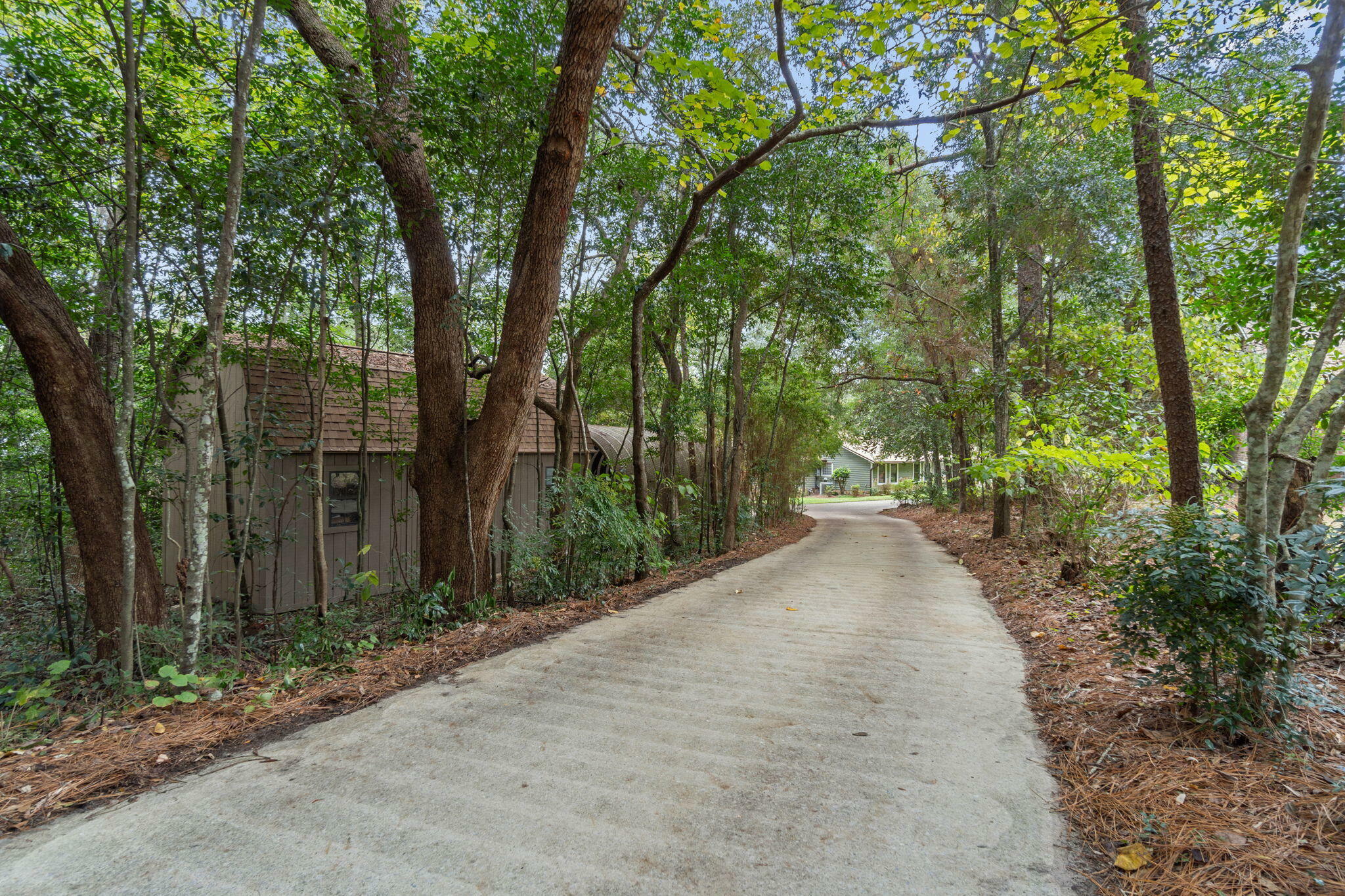 Property Photo:  293 Wava Avenue  FL 32578 