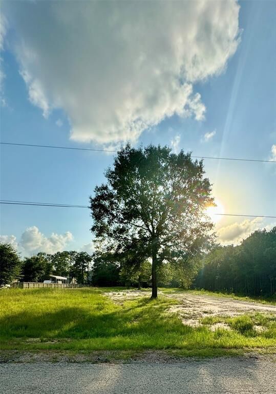 Property Photo: 22970 Colorado Drive TX 77365