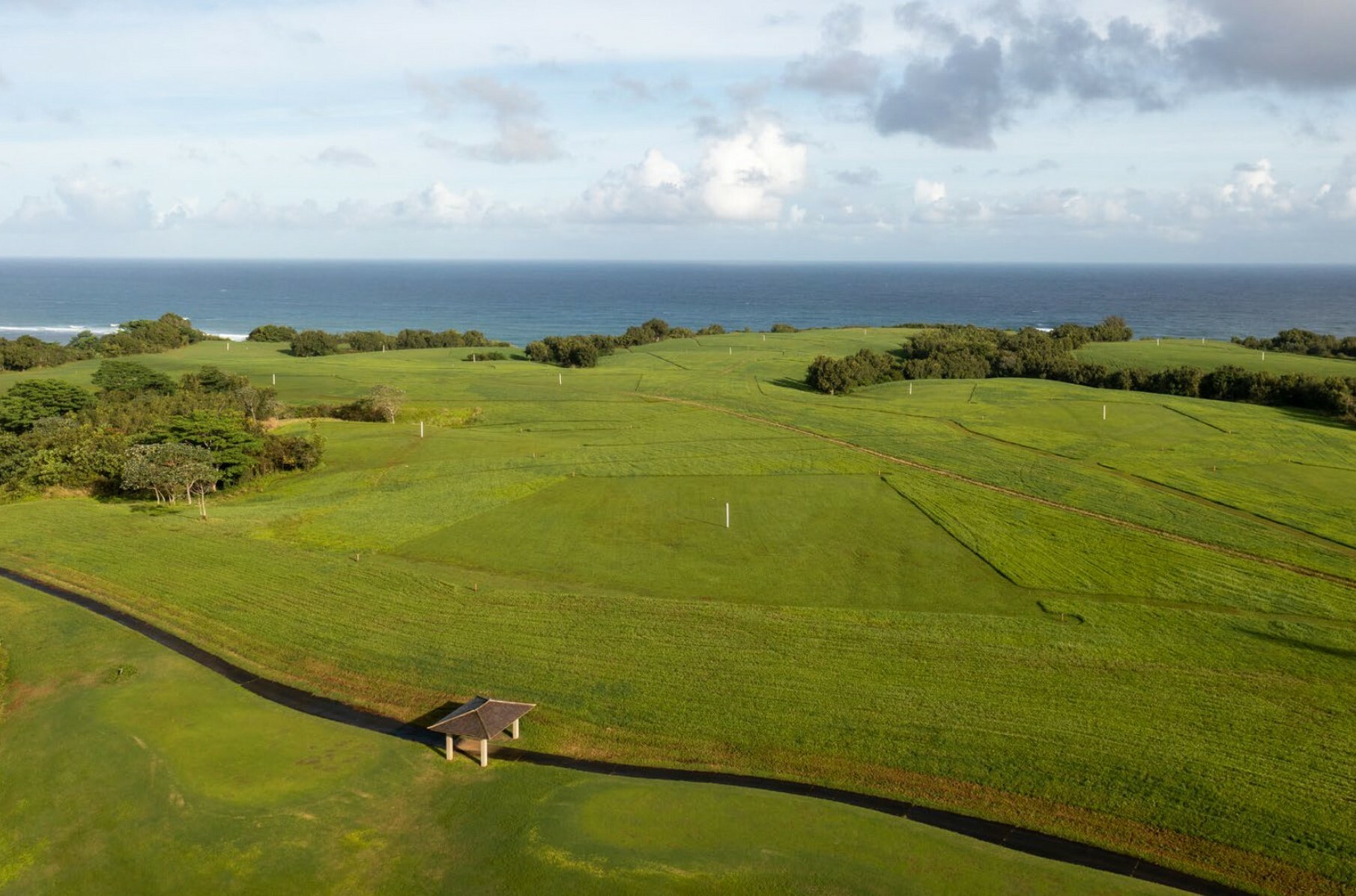 Property Photo:  4132 Hihimanu Rd  HI 96754 