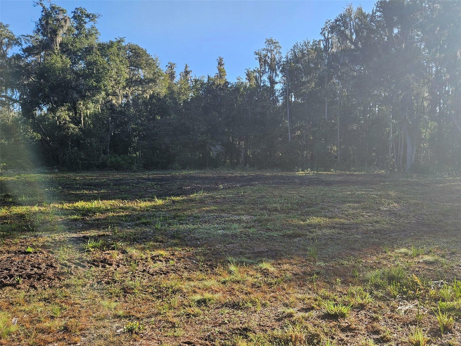 Property Photo:  Candis Rd  FL 33565 