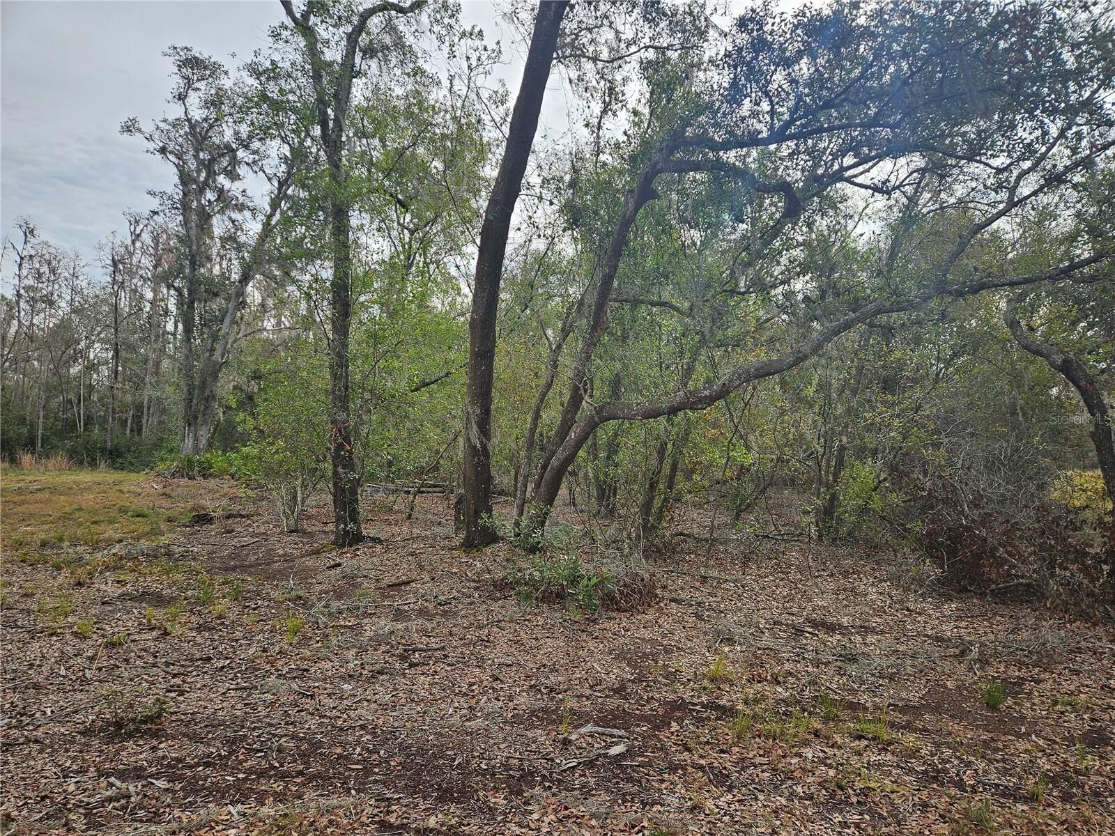 Property Photo: Candis Rd FL 33565