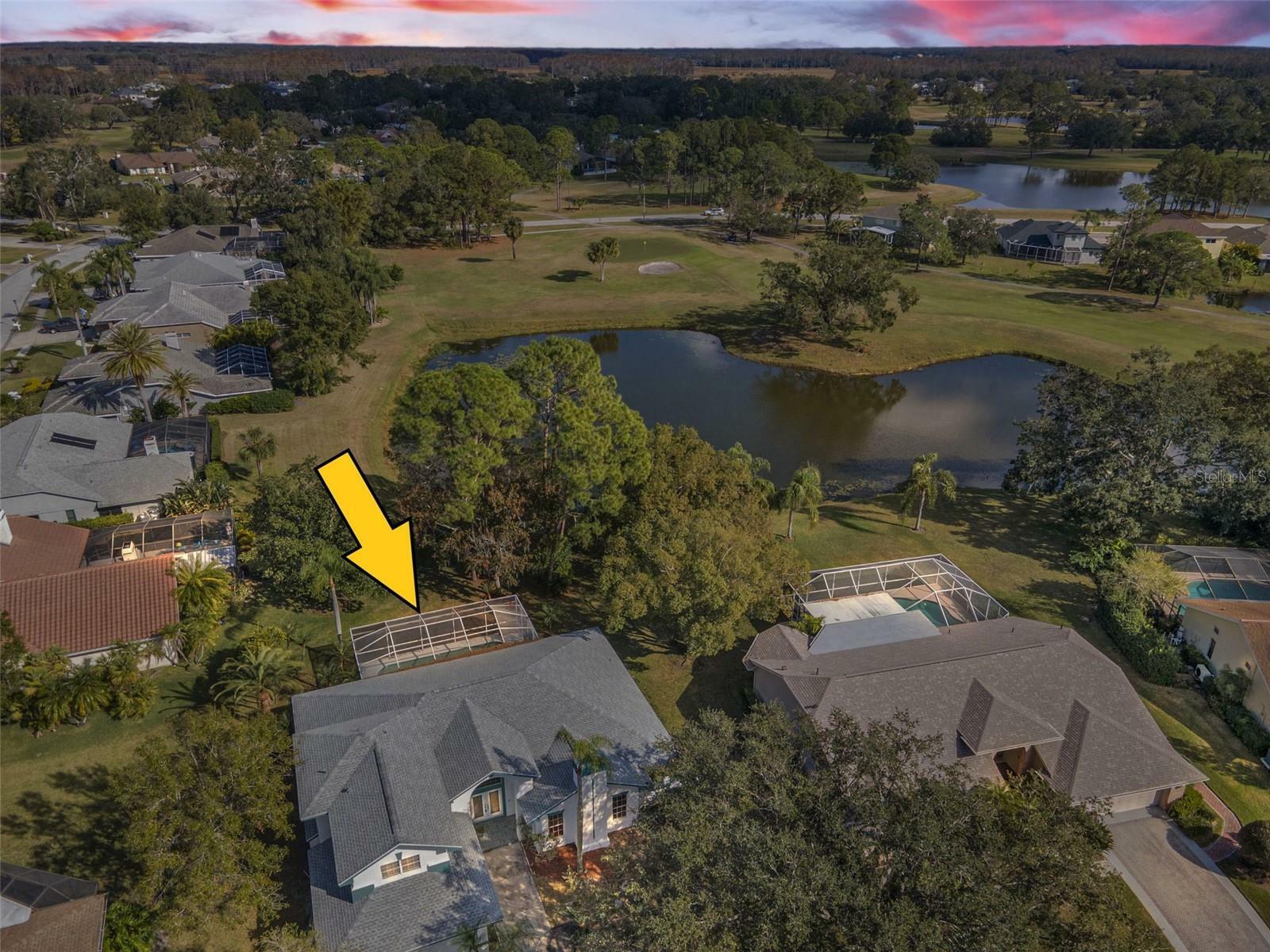 Property Photo:  16317 Colwood Drive  FL 33556 