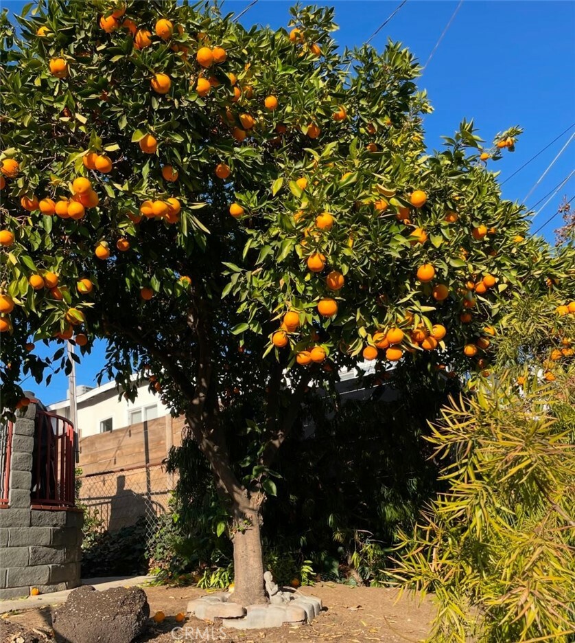 Property Photo:  4943 Granada Street  CA 90042 