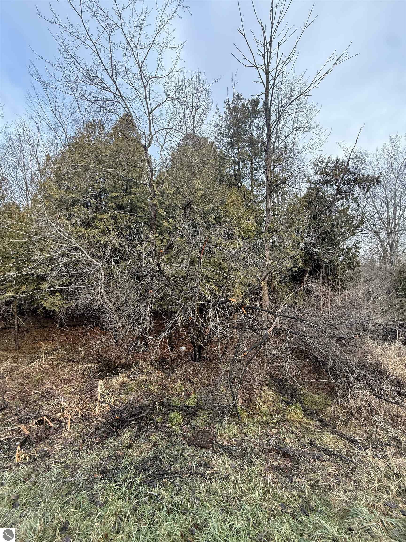 Property Photo:  Tbd Cedar Drive Lot 57  MI 48858 