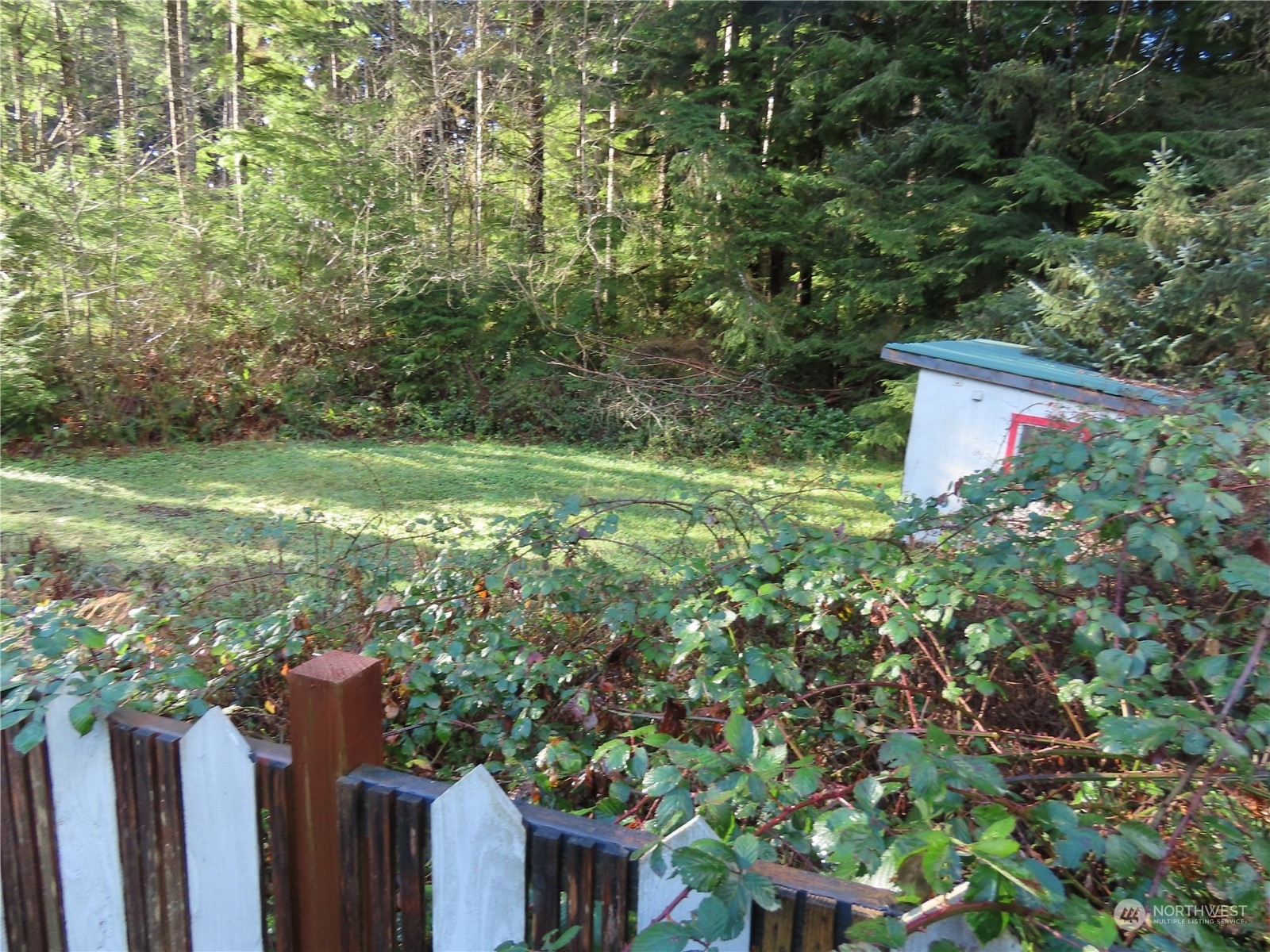 Property Photo:  21  Nelson Place  WA 98535 