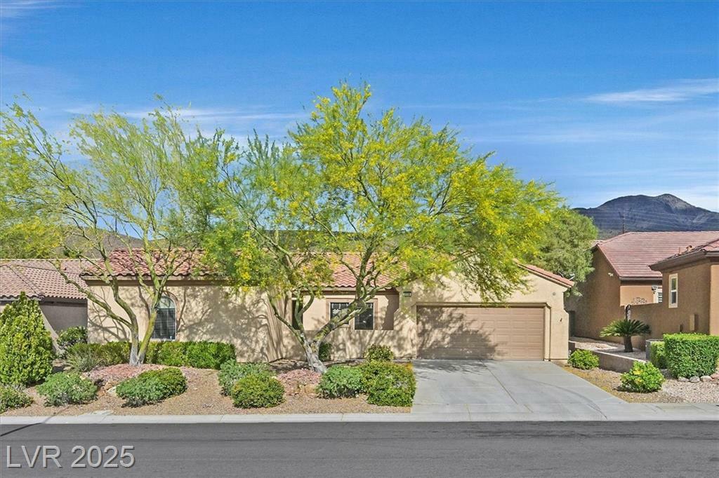 2250 Bensley Street  Henderson NV 89044 photo