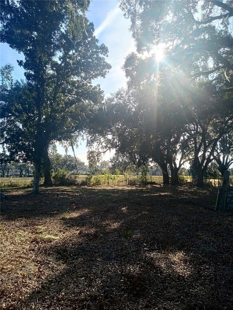 Property Photo:  3355 E Cr-207 E  FL 34484 