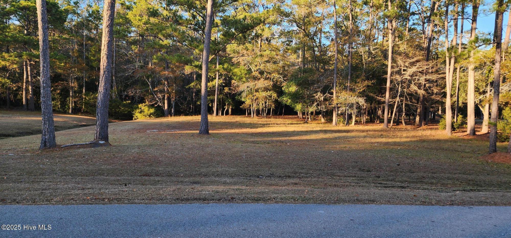 Property Photo: 342 Genoes Point Road SW NC 28462