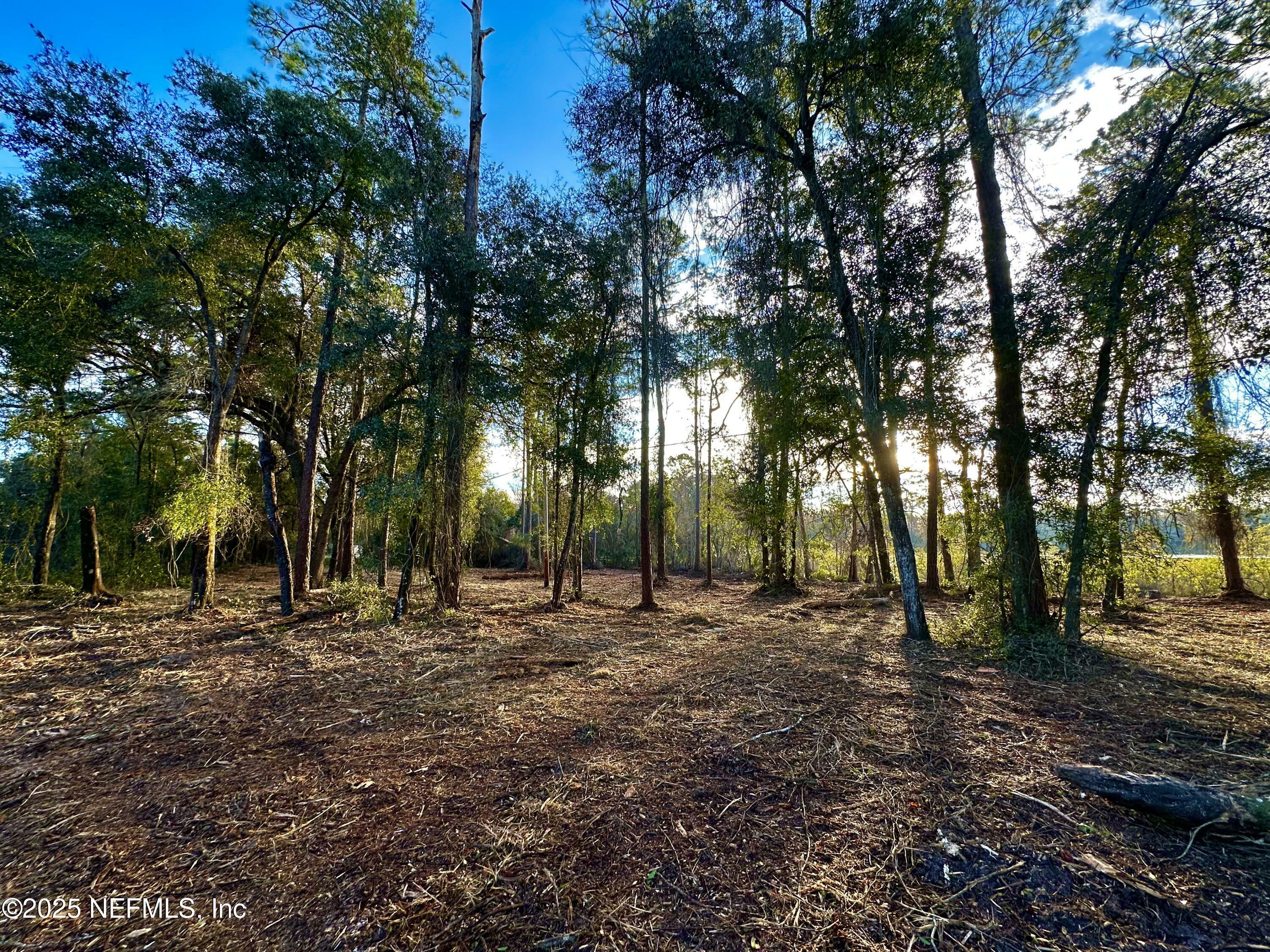 Property Photo:  1181 S State Road 19  FL 32177 