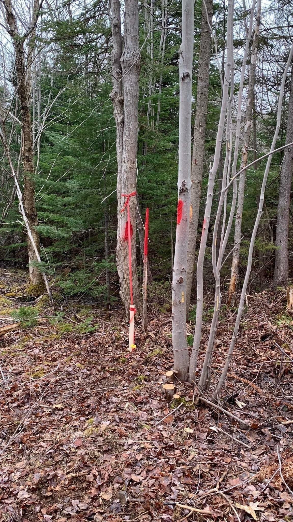 Property Photo:  Lot 24-4 Little Harbour Road  NS B2H 3T5 