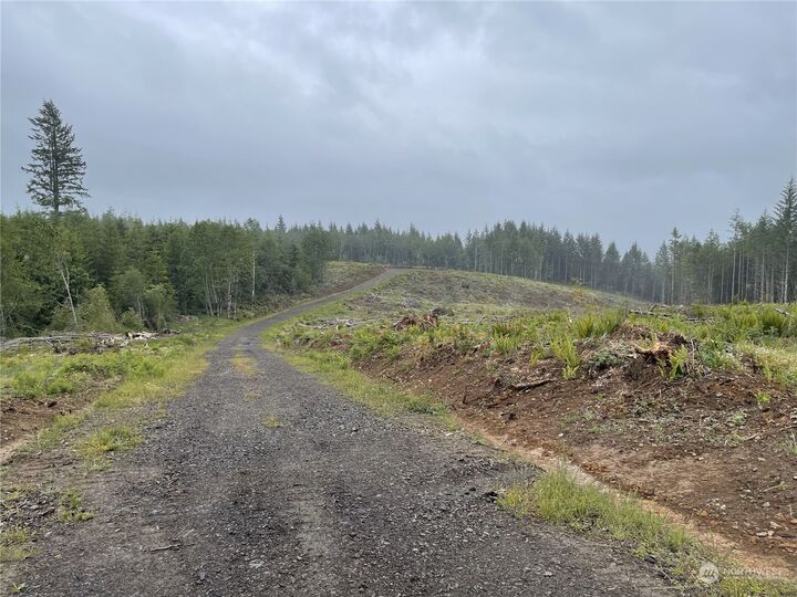 Property Photo:  2 Xx  Oppelt Road  WA 98570 