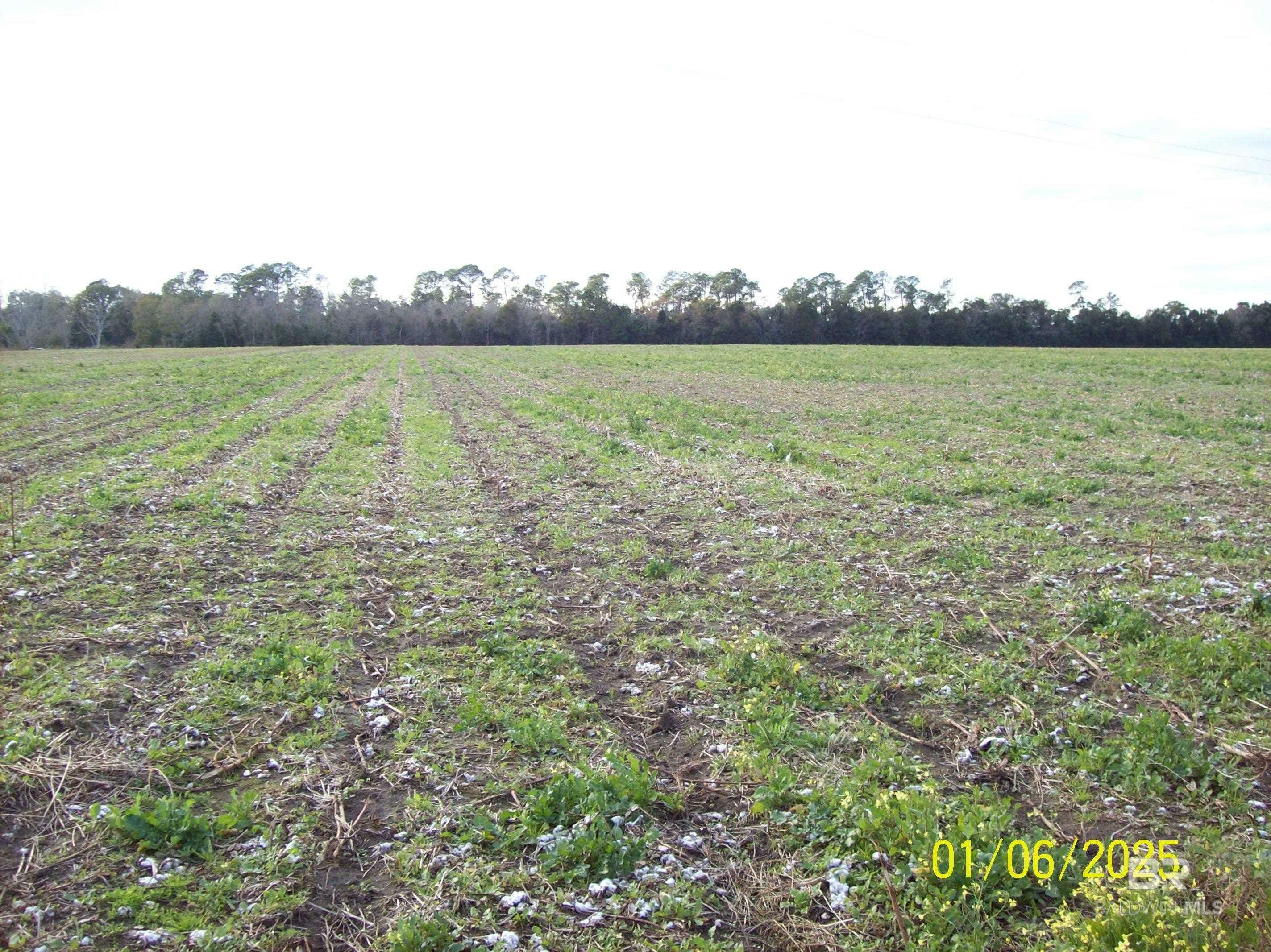 Property Photo:  0 County Road 28  AL 36580 