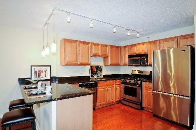 Property Photo:  545 N Dearborn Street W903  IL 60654 