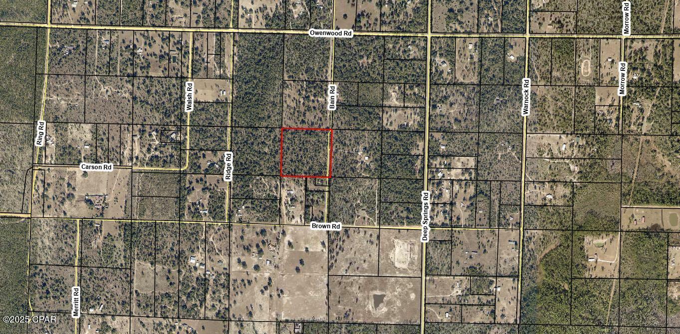 Property Photo:  10 Acres Bain Road  FL 32438 