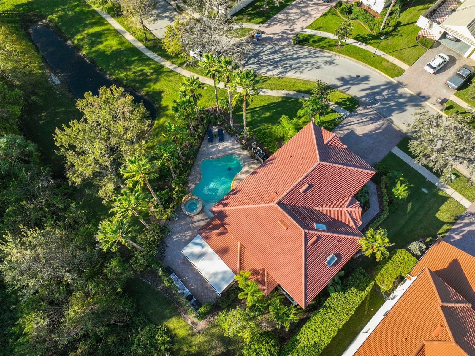 Property Photo:  12903 Darby Ridge Drive  FL 33624 