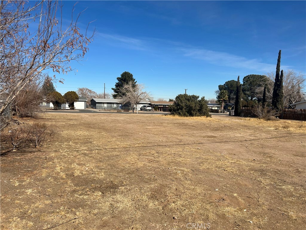 Property Photo: 0 Live Oak CA 92345
