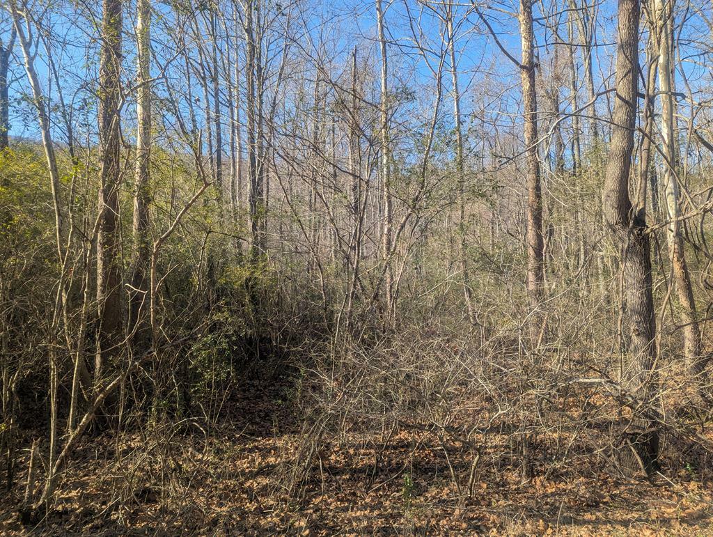 Property Photo:  0 Hurricane Road  GA 30740 