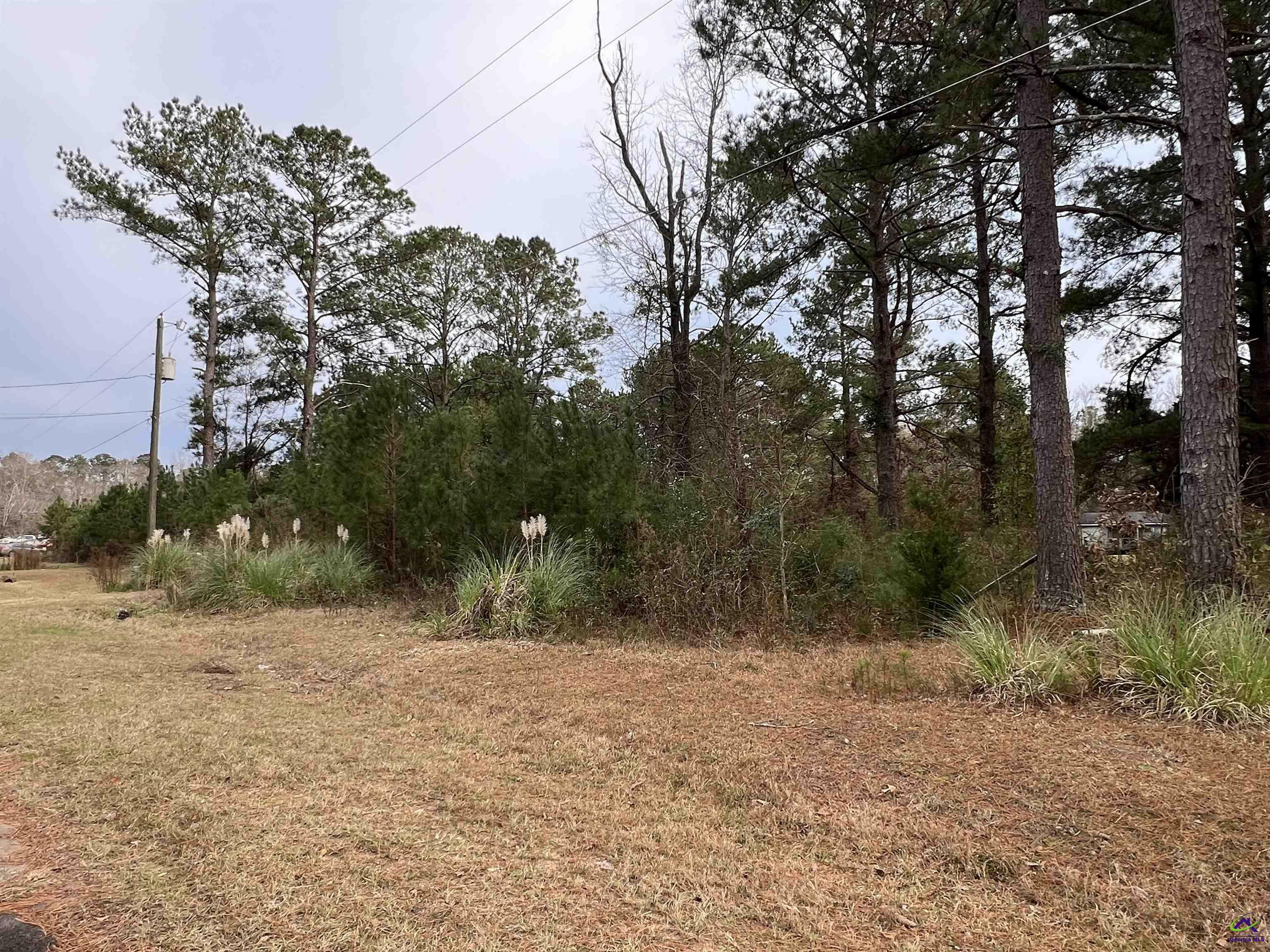 Property Photo:  111 Persimmon Drive  GA 31047 