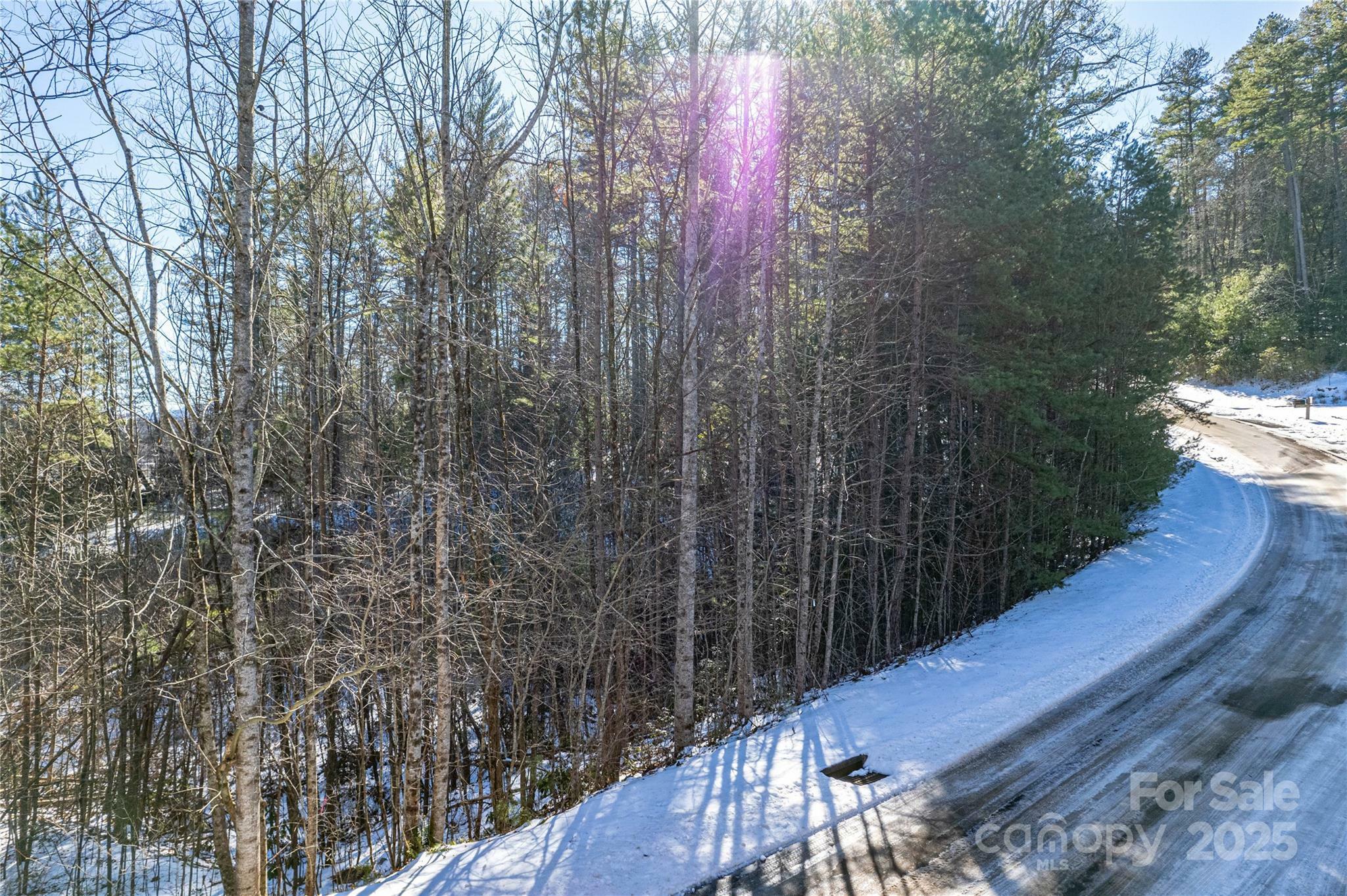 Property Photo:  Tbd Camptown Road M139  NC 28712 