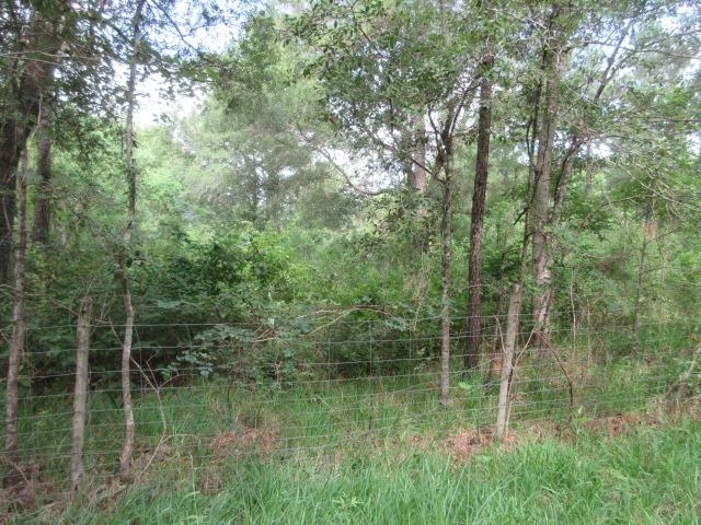 Property Photo: Sandbar Rd TX 77639