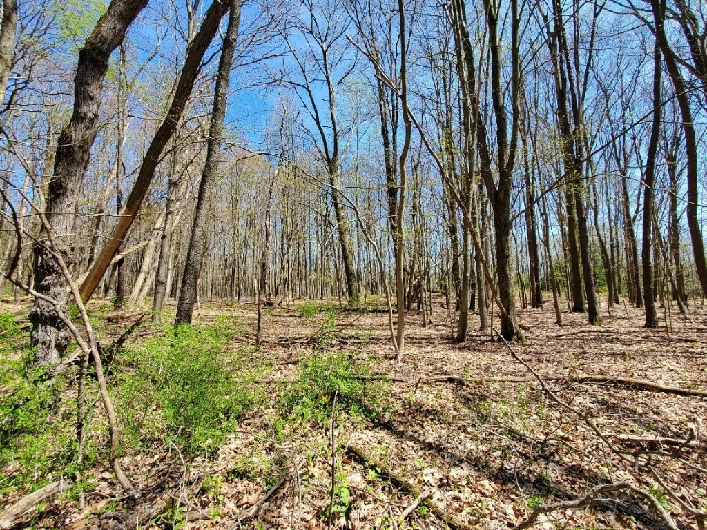 Property Photo: 5245 Grubb Road PA 16506