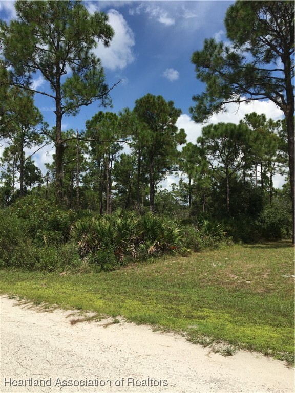 Property Photo:  1159 Macaw Avenue  FL 33852 