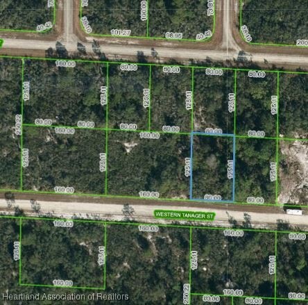 Property Photo:  3449 Western Tanager Street  FL 33852 