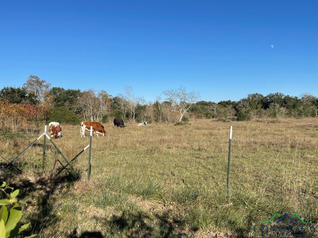 Property Photo: Tbd Cemetary Rd, Manvel TX 77578-3947