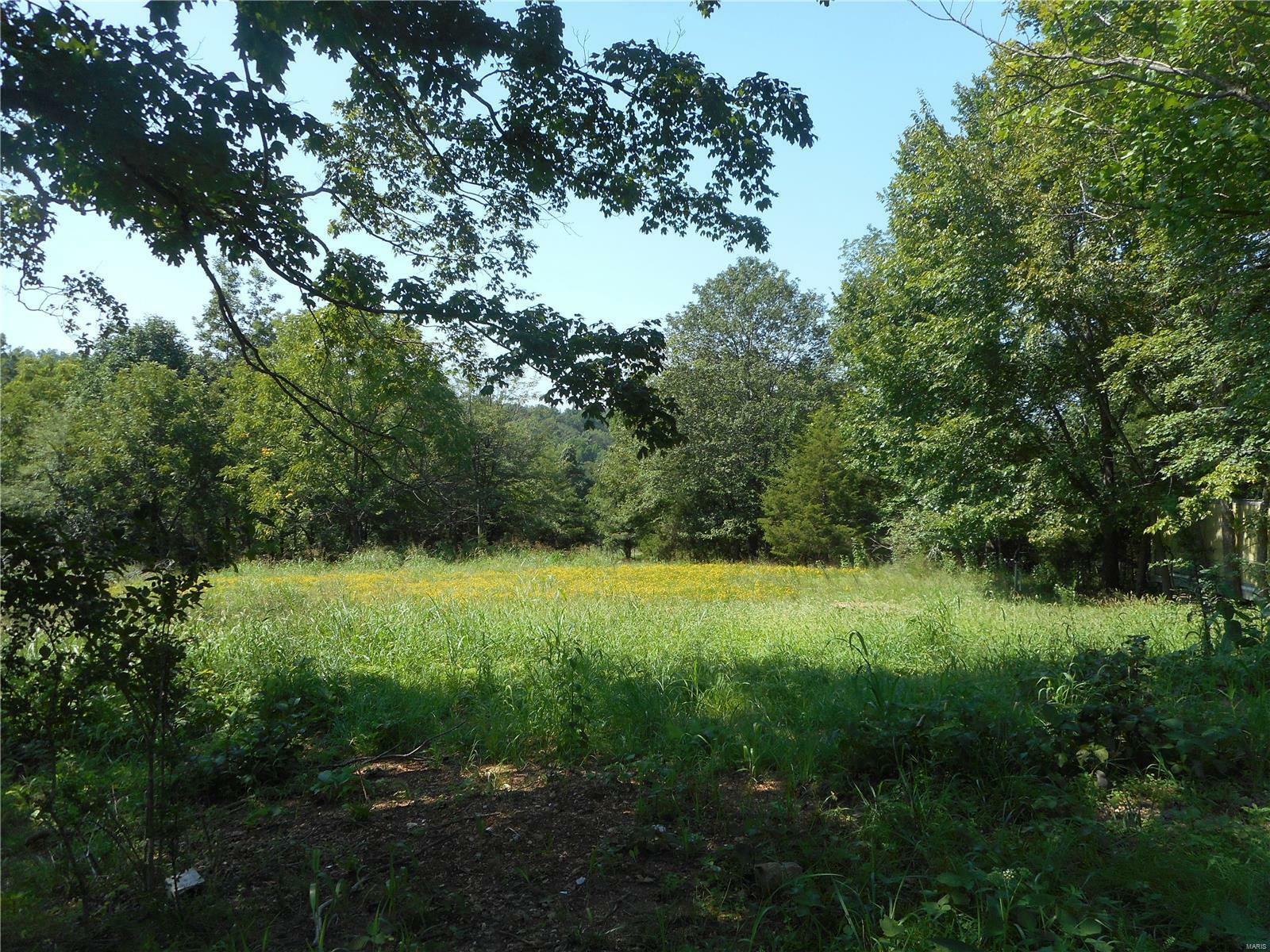 Property Photo:  1044 Wayne County Road 350  MO 63957 