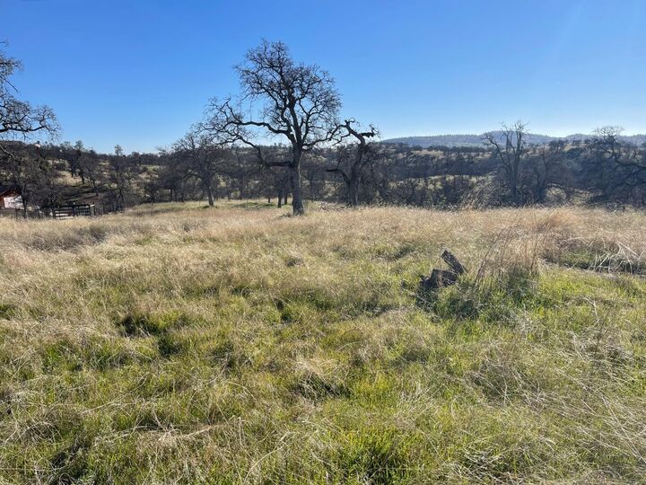 Property Photo:  13651 Barro Court  CA 95329 