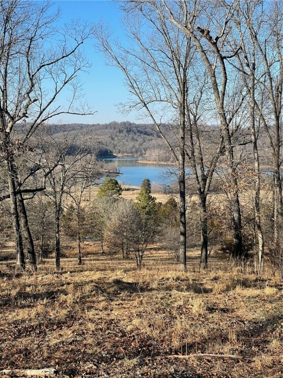 Property Photo:  14696 Hwy 311 N Road  AR 72638 