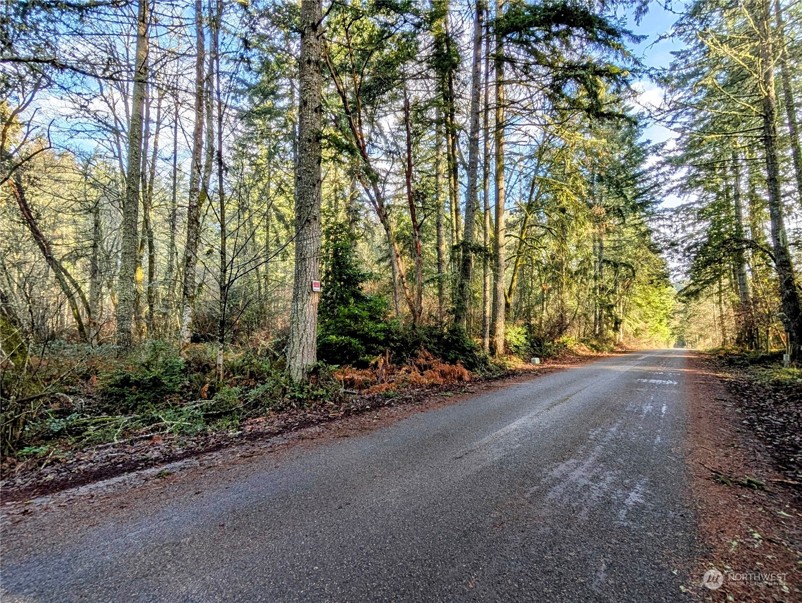 Property Photo:  0  84th Street NW  WA 98329 