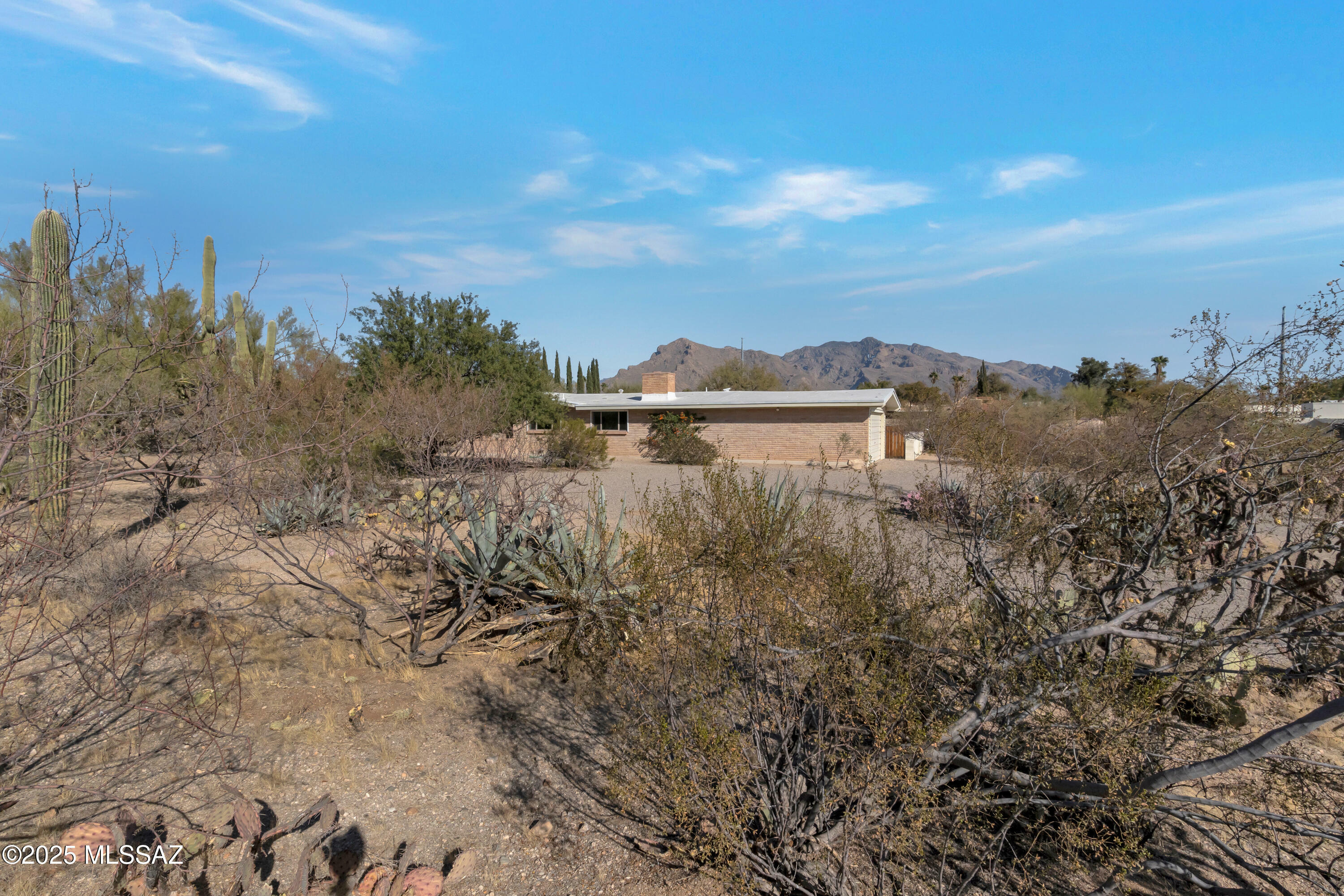 Property Photo:  7222 N San Pasquale Avenue  AZ 85704 