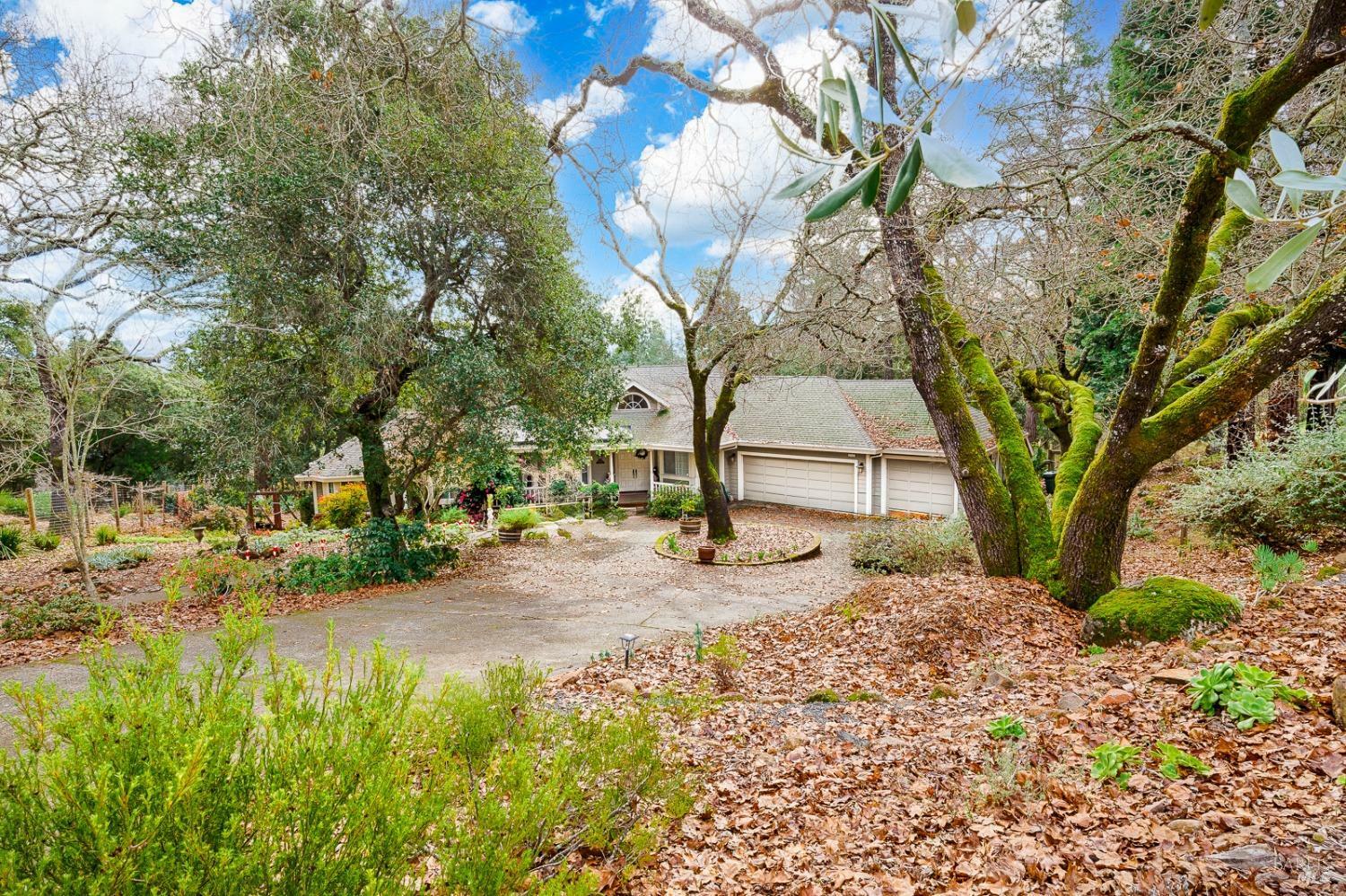 2742 Treetops Way  Santa Rosa CA 95404 photo