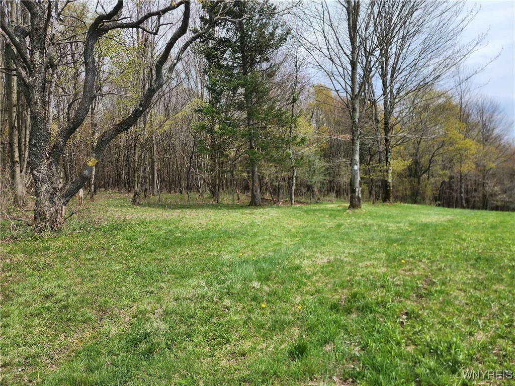 Property Photo: 12 Trail Heights NY 14731