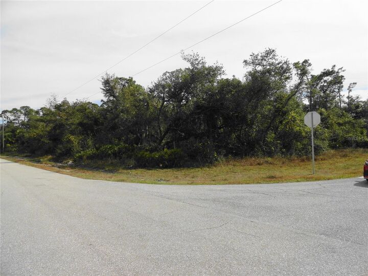 Property Photo:  17043 Arthur Avenue  FL 33948 