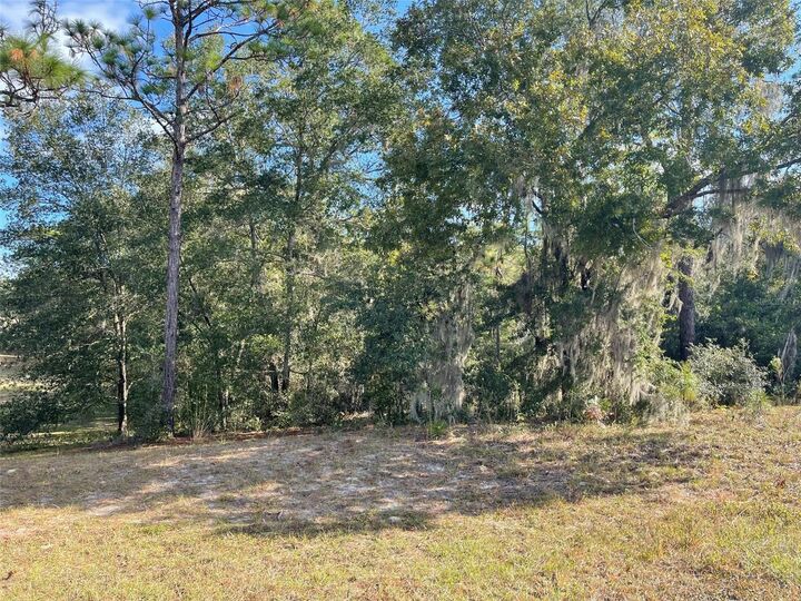Property Photo: Lot 44 SW 102nd Street Road FL 34431