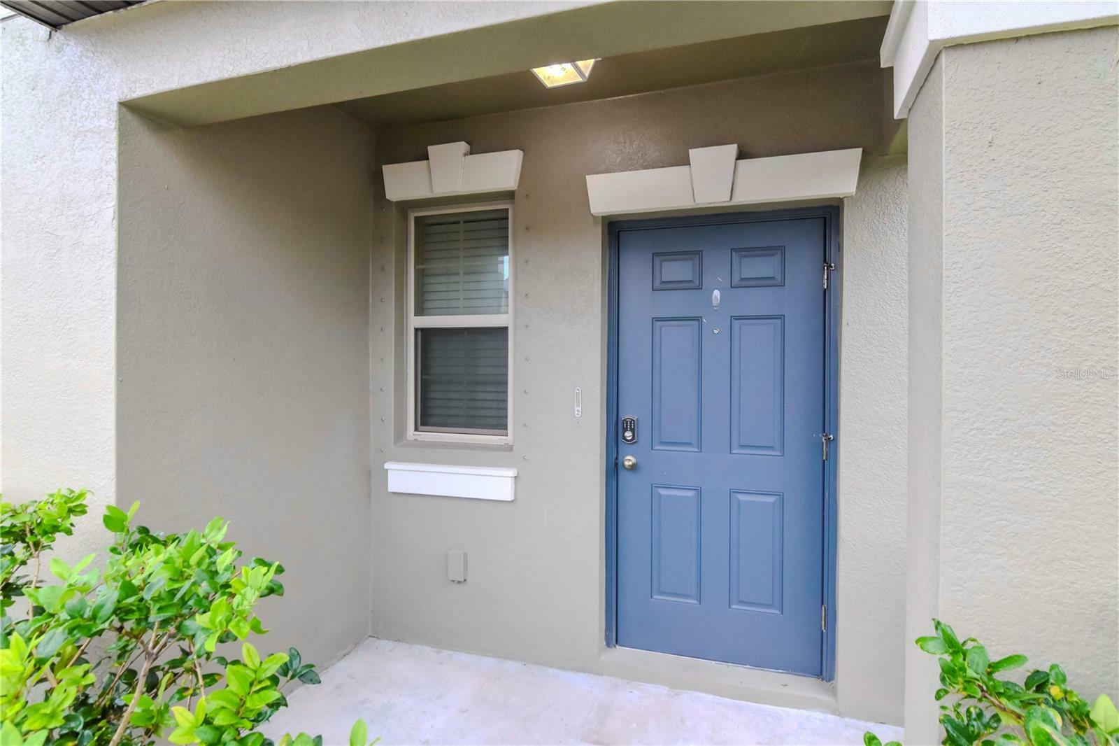 Property Photo:  6180 Apple Snail Avenue  FL 34653 