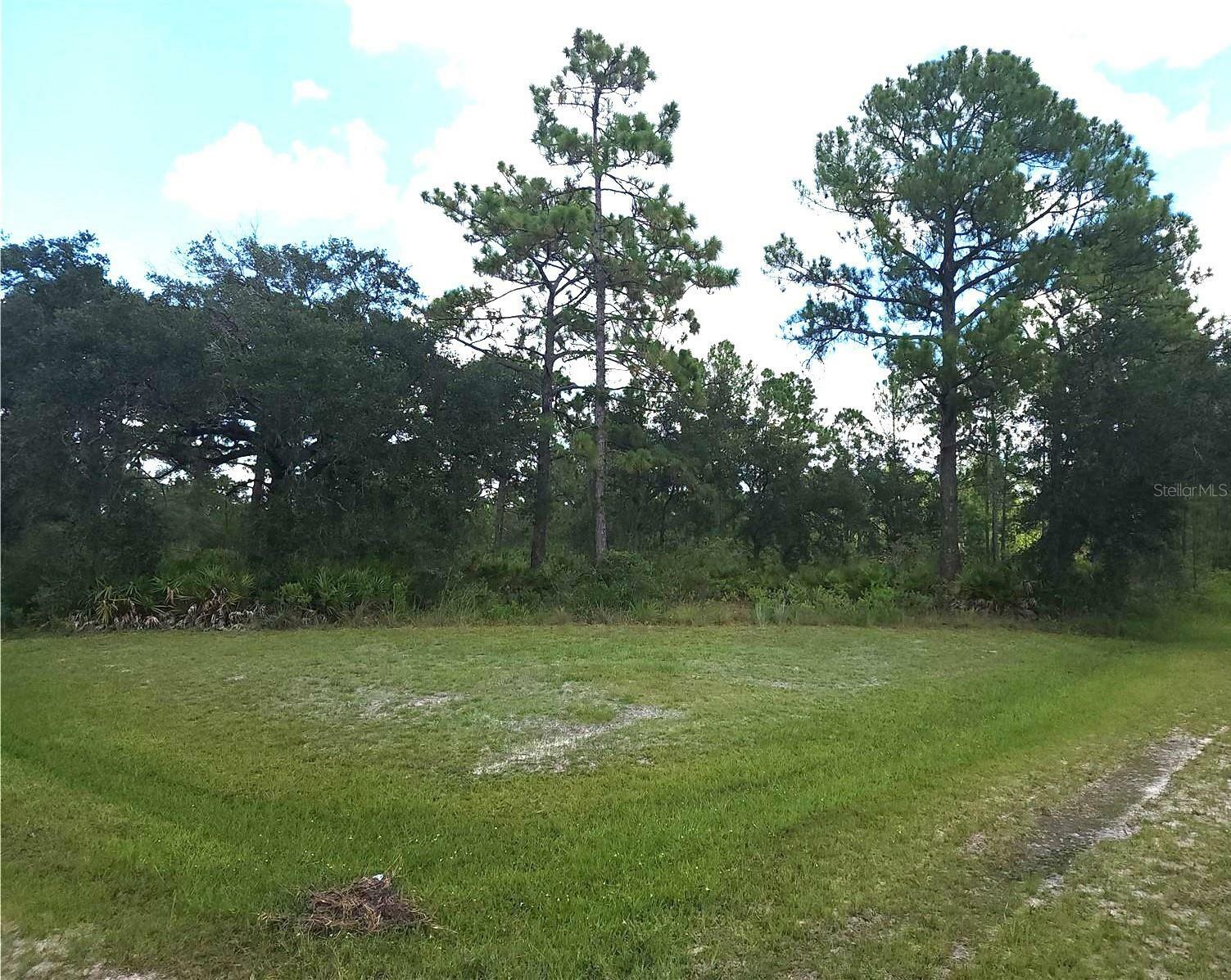 Property Photo:  Oleander Drive  FL 33855 