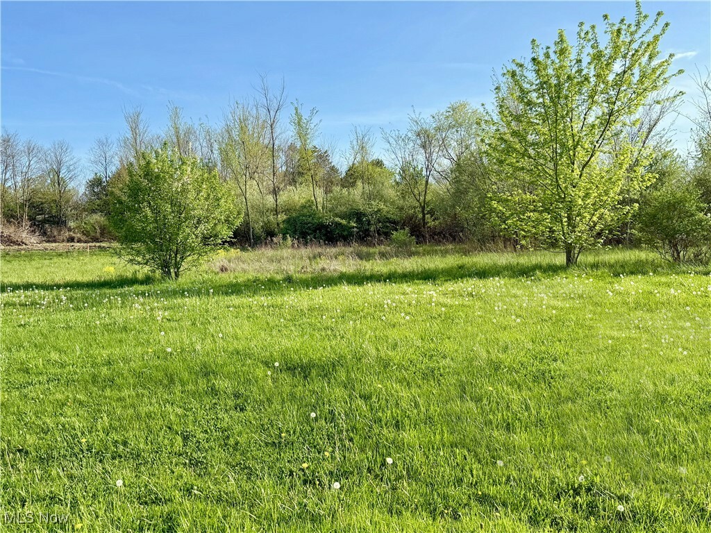 Property Photo: 49451 Foxwood Lane OH 44413