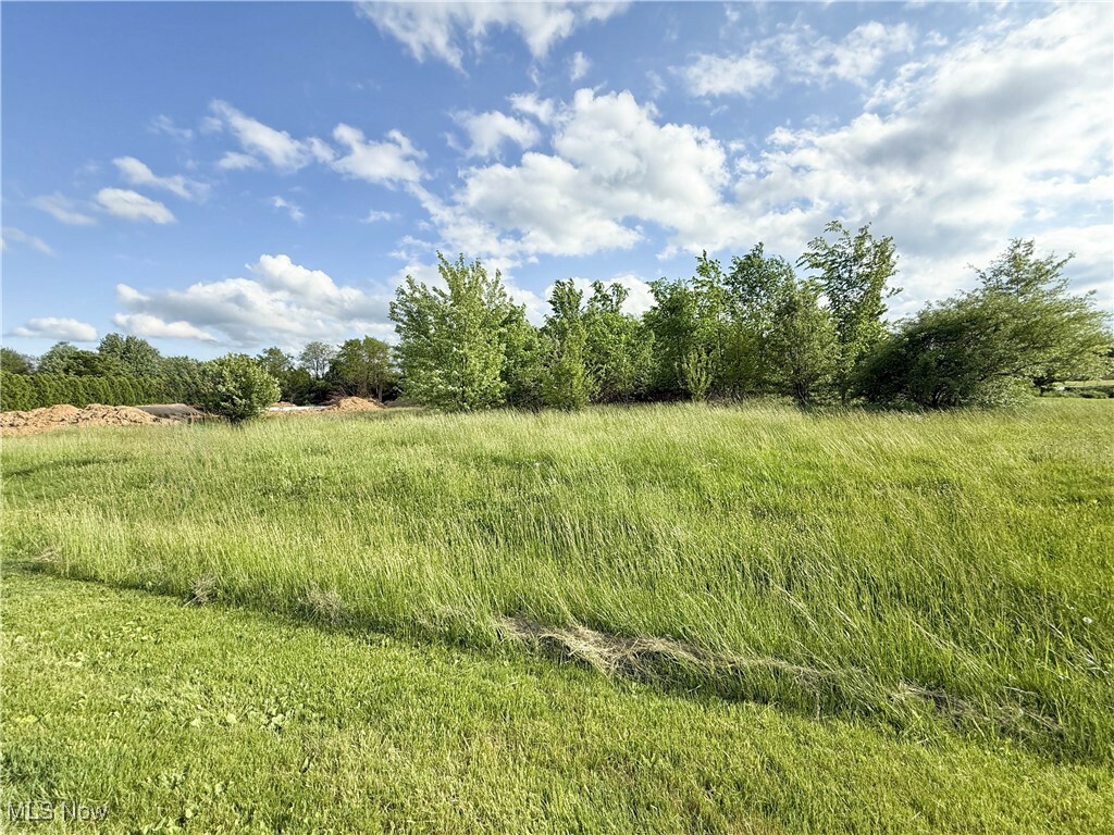 Property Photo: 49451 Foxwood Lane OH 44413