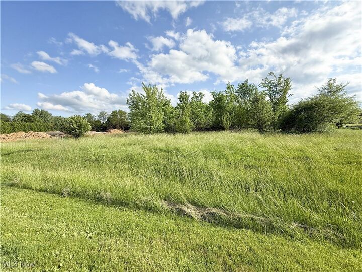 Property Photo:  49451 Foxwood Lane  OH 44413 